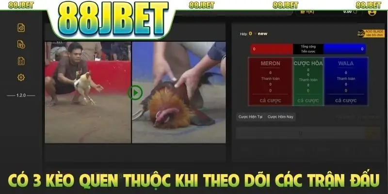 Đá Gà Chọi Thomo - Đấu Trường Phát Sóng Trực Tiếp HD Sắc Nét 3 Có 3 kèo quen thuộc khi theo dõi các trận đấu mãn nhãn